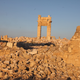 Another view of Palmyra, 29 March 2016.